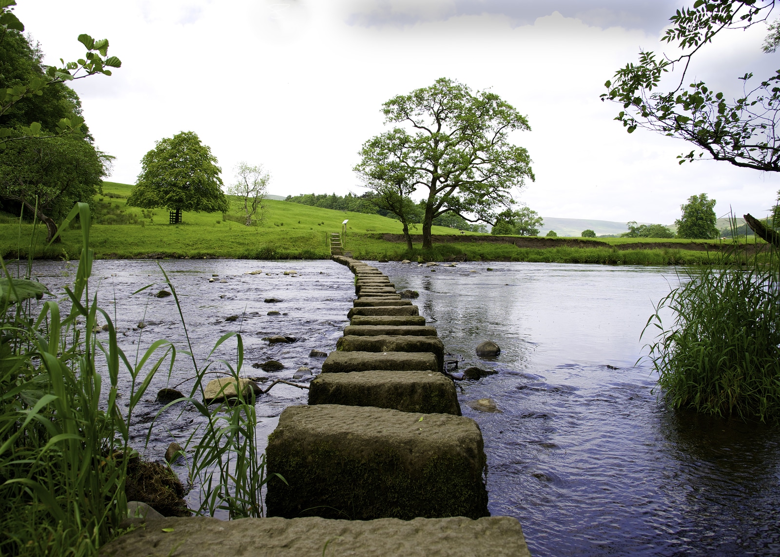 Stepping Stones